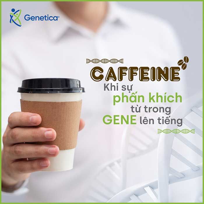 Gen liên quan đến độ chuyển hóa Caffeine như thế nào?