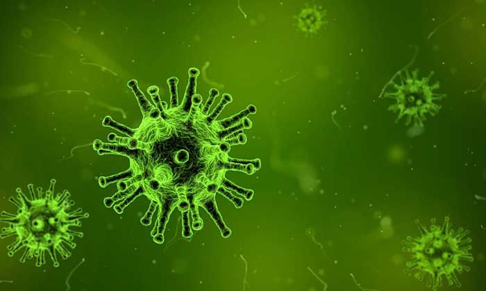 7 Loại virus gây ung thư ở người mà bạn nên biết