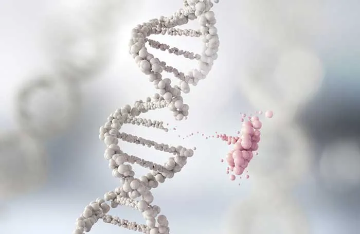 18 Bệnh ung thư có tính di truyền mà bạn không biết