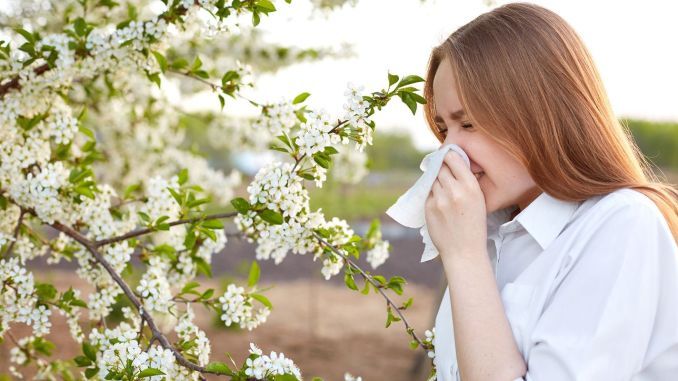 Dị ứng phấn hoa là gì? Triệu chứng, chần đoán và cách điều trị