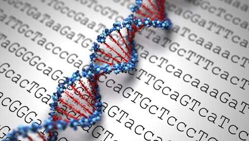 Xét nghiệm gen di truyền ở đâu, chi phí giải mã gen bao nhiêu tiền?