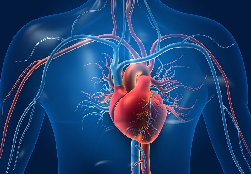 Bệnh tim thiếu máu cục bộ là gì? Có nguy hiểm không?