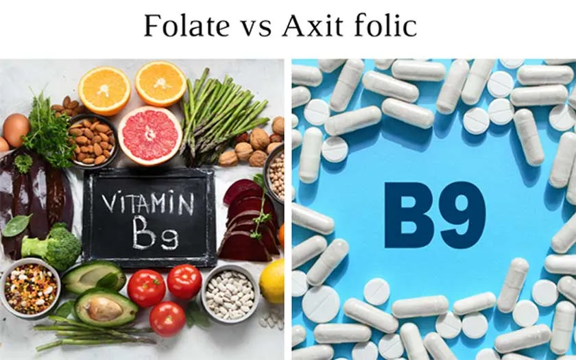 Vitamin B9 có tác dụng gì? Thực phẩm nào giàu vitamin b9?