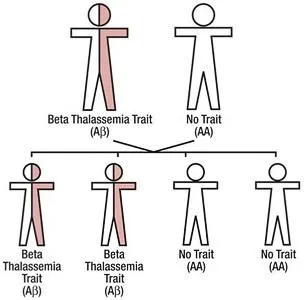 Bệnh thiếu máu di truyền Thalassaemia là gì? Có di truyền không?